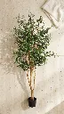 pomelli_photoshoot_image_9_16_0609 (9).webp