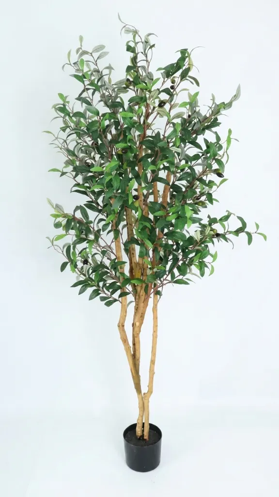 pomelli_photoshoot_image_9_16_0609 (10).webp
