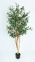 pomelli_photoshoot_image_9_16_0609 (10).webp