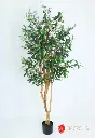 AR61112:01  .webp