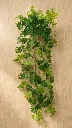 pomelli_photoshoot_image_9_16_0609 (36).webp