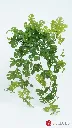 pomelli_photoshoot_image_9_16_0609 (37).webp