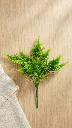 VR37753:01  a.webp