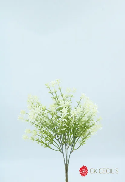 FL02552:01  .webp