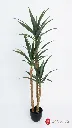 AR63042:01  a.webp