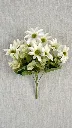 71072a.webp