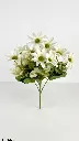 71072b.webp