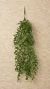38105a.webp