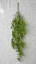 61113a.webp