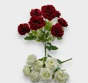 71049.webp