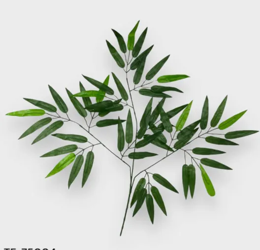 75004.webp