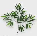 75004.webp