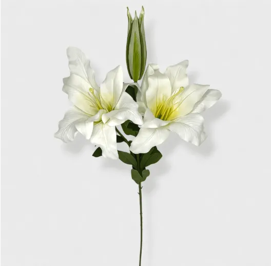 74068.webp