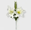 74068.webp