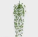 75002 HD.webp
