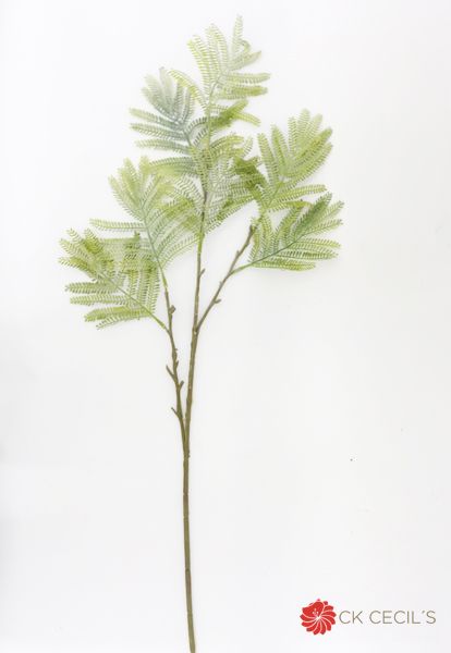 [4130257] Mimosa Leaf Spray 87 Cm. Gr/Tt