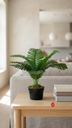 ARECA MINI X 9 X40CM