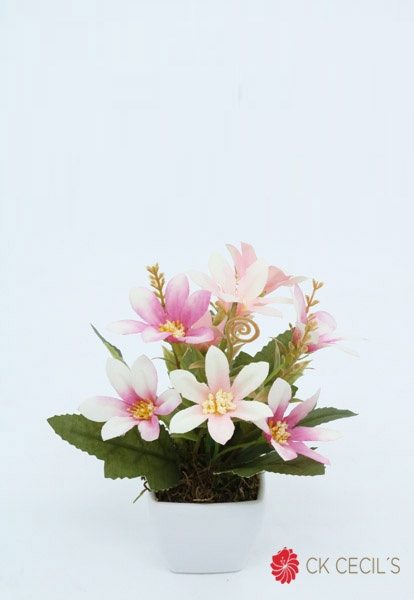 [4130310] Plastic. Cuad.Mini Con Daisy / Wh. Pink