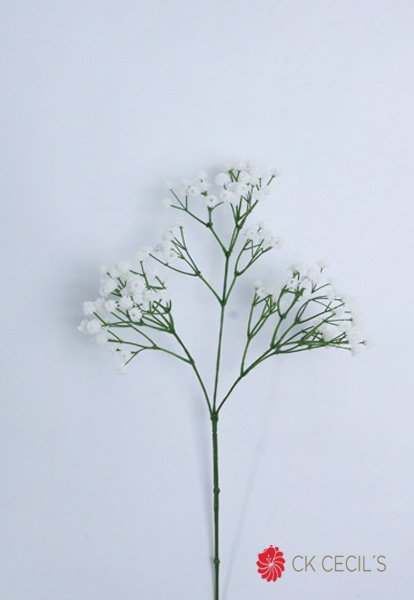 Babys Breath Spray X 66 Cm / White Fs14601