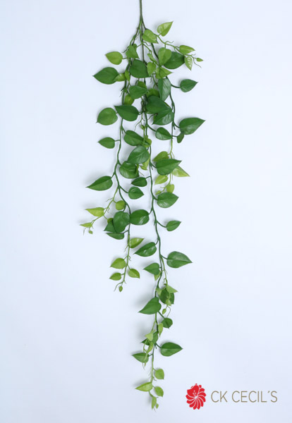 [4130357] Pothos Lvs Spray X 1.27 Mts / Green Rm24099