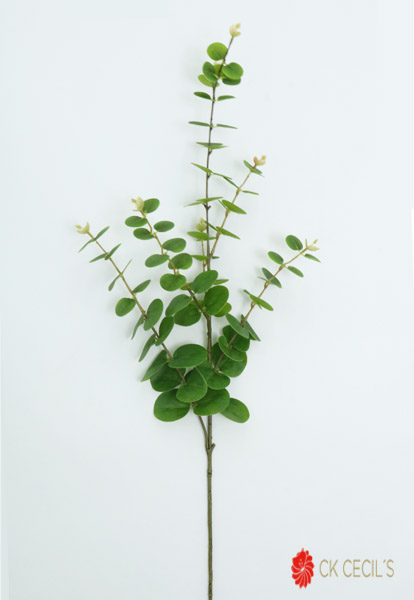 [4130359] Eucalyptus Spray X 94Cm / Green Rm57150