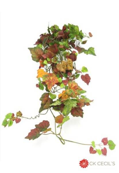 Caida Oto#Al X 312 Hojas / Cotton Wood