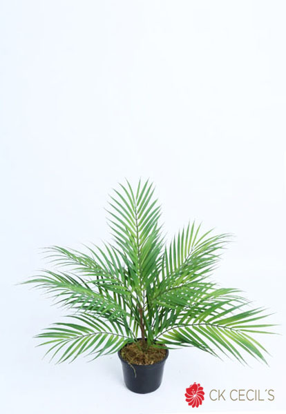 PARLOUR PALM BUSH X 13 X 58 CM / GREEN VR45001