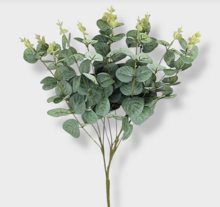MATA EUCALIPTUS 50CM