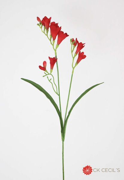 Freesia Spray X 65Cm Flame
