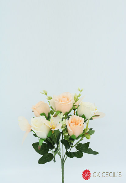 ROSE BUSH X 5  X30 CM SALMON