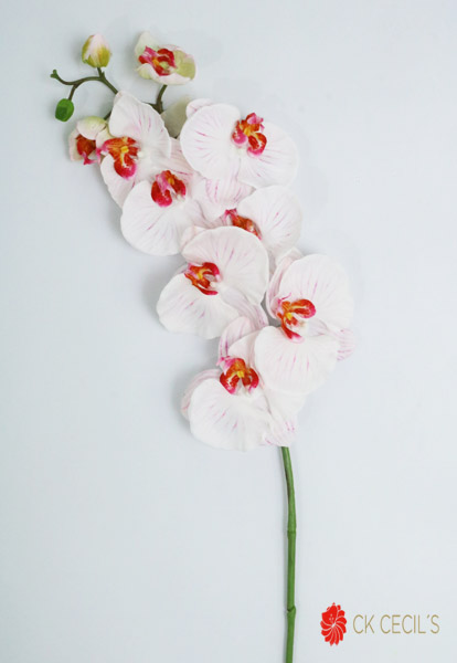 Phaleanopsis Spray X 9Fl 96Cm White Pink