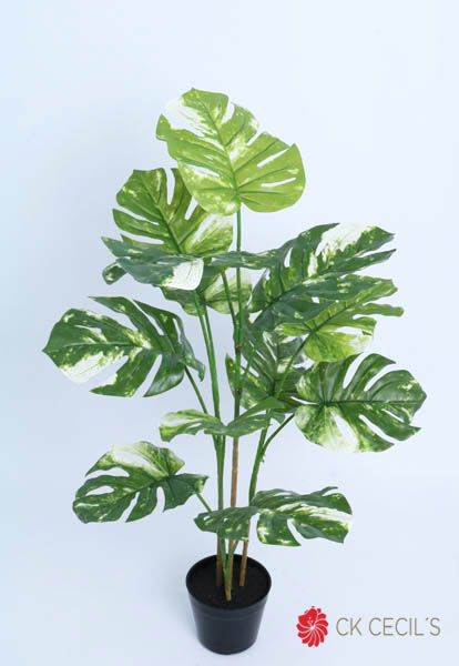 [4130459] SPLIT PHILO PLANT NAT X1.06MTS GREEN