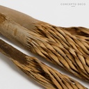 Flores Secas Bouquet Coco Spiral 57Cm