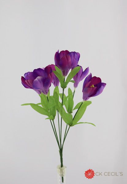 [4130063] Crocus Bush X 6 X 36 Cm. Purple