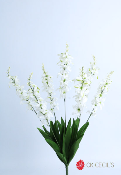 Jacinto Bush X 7 X 26 Cm. Cream