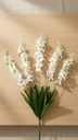 Jacinto Bush X 7 X 26 Cm. Cream