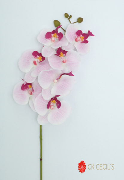 [413485] Phaleanopsis Spray 86 Cm. Nt Beauty