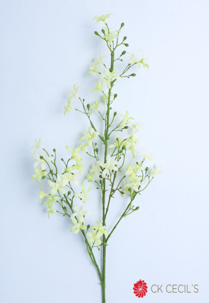 [413490] Saxifraga Spray X 96 Cm. Cream Green