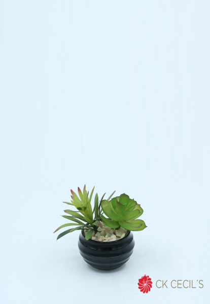 [413831] Plast Bols Mini Mix 10X5Cm