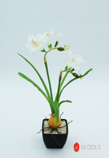 [413829] Plastic Cuad. Frezia Bulb20X35