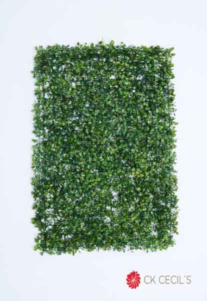 [413203] Mat Boxwood 40 X 60 Cm. Green ( Jardin Vertical)