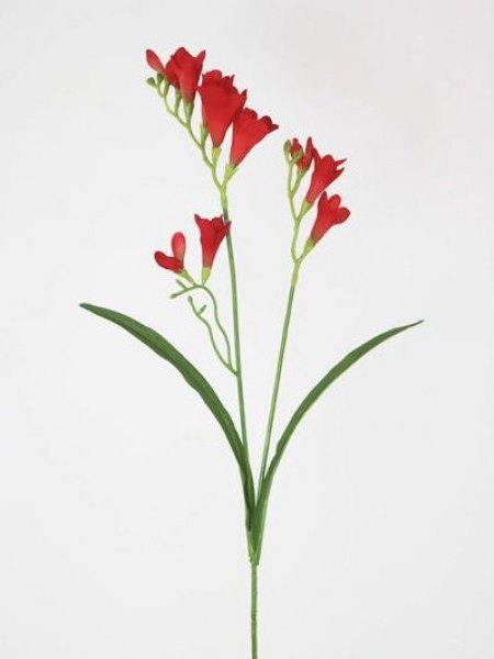 FRESSIA SPRAY X 65 CM FLAME