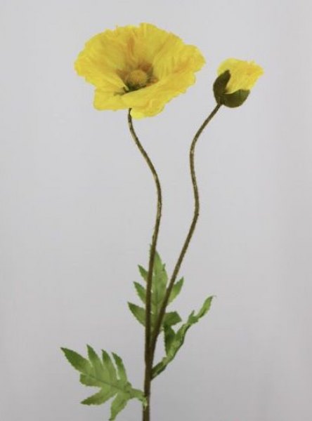 POPPY W/ 1BUD 56 CM. YELLOW