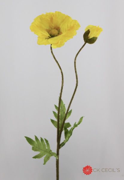 Poppy W/ 1Bud 56 Cm. Yellow
