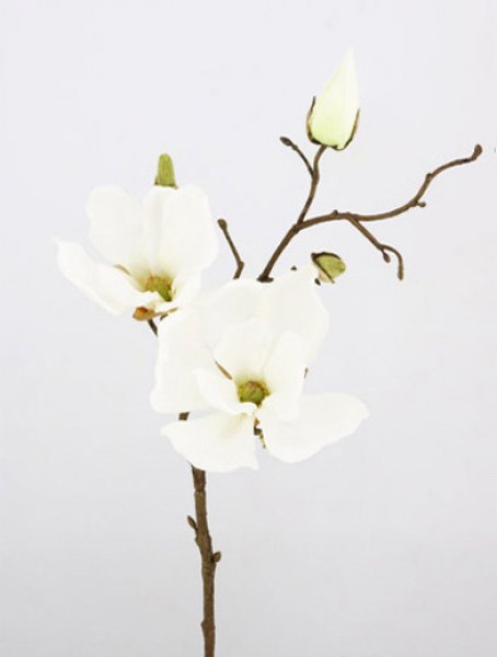 MAGNOLIA SPRAY 48CM (WHITE)