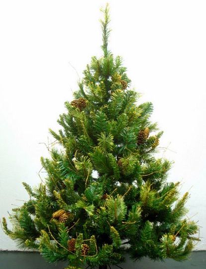 ARBOL 150 CM APLACIAN MIX SLIM 5PIE X525TIP GOLD MIXED