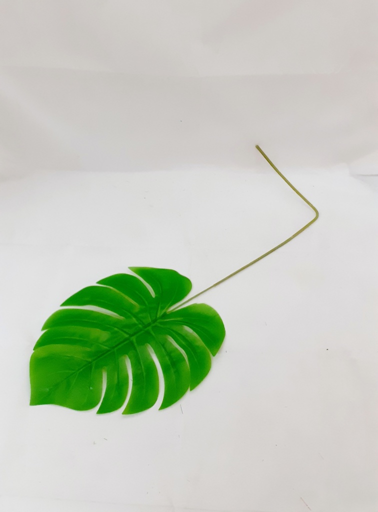 Vara De Costilla De Adan 60 Cm