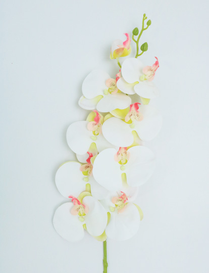 ORCHID SPRAY X 9 100 CM. WHITE