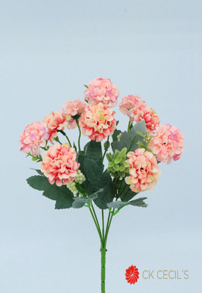 Hortencia Mini X 10 X 32Cm Pink