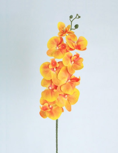 PHALEANOPSIS SPRAY X9 X1.05MT ORANGE